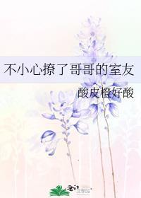 不小心撩了个直男怎么破剧透
