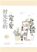 封先生的宠爱全文免费阅读