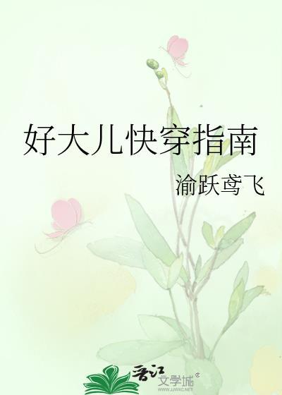 好大儿快穿指南免费