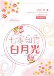 七零年代知青白月光