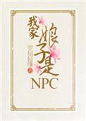 我家娘子是npc全息
