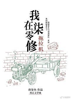 我在七零修拖拉机TXT