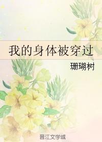 我的身体被穿过讲什么