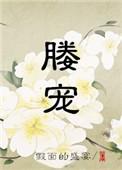 媵宠笔趣阁免费阅读