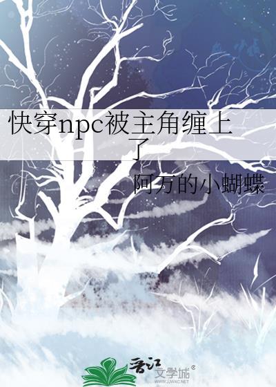 快穿npc受