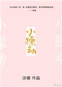 小躁动全文免费阅读理解