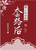 被心机夫君套路后盘搜搜