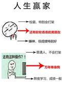 单身狗的春天讲了什么