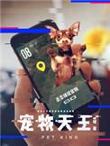 宠物天王女主角