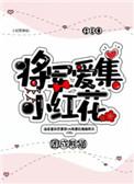 将军爱集小红花txt书包网