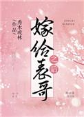 嫁给表哥之后txt百度