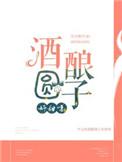 酒酿圆子好甜呀全文阅读