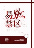 易燃禁区笔趣阁