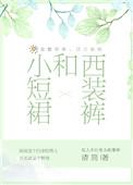 小短裙和西装裤讲的什么
