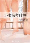小书呆考科举txt
