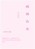 两块石头门前放好不好
