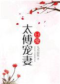 第二本太傅宠妻日常