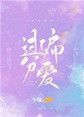 过分偏爱简介