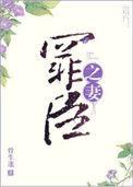 罪臣之妻丸子炒饭