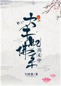 太子妃的佛系出走中