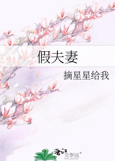 假夫妻是什么意思