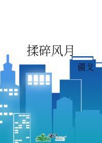 揉碎风月疆戈TXT