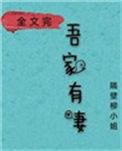 娘子在下有眼无珠番外