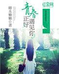 青春正好前一句