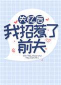 失忆后我招惹了前夫格格党