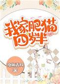 我家肥猫四岁半免费阅读