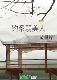 钓系弱美人数字