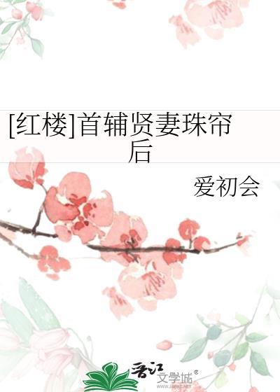 首辅的娘子