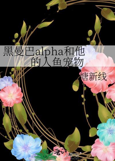 黑曼巴asepa
