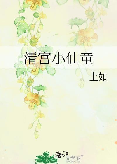 清宫小仙童追书看网