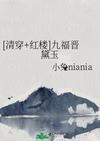 清穿九福晋全文