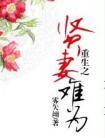 重生之贤妻难为TXT