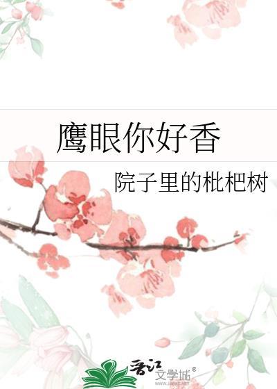 鹰眼表演者