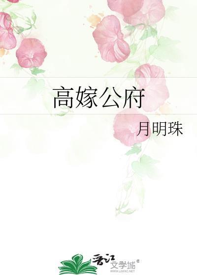 高嫁公府by月明珠txt