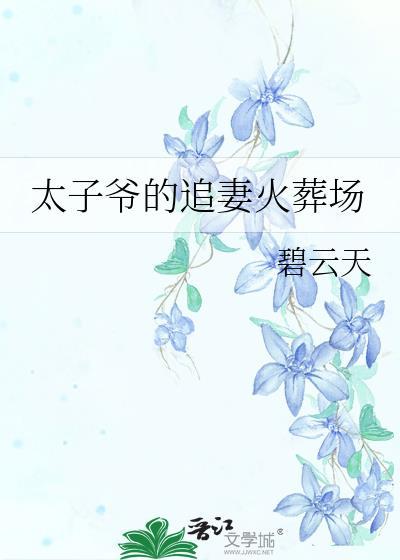 太子爷的追妻火葬场碧云天