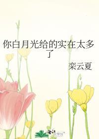 给我白月光