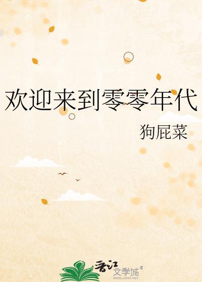 欢迎来到零零年代无妨盗