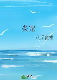 炙宠倾城苏暖暖顾承砚