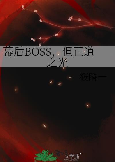 幕后boss但正道之光