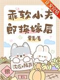 乖软小夫郎换嫁后全文阅读