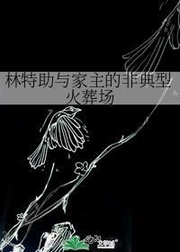林特助与家主的非典型火葬场txt