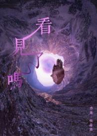 山西被挖双眼男孩现在能看见了吗