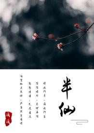 半仙算卦