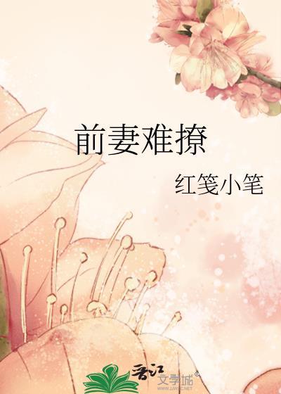 前妻难撩讲的什么故事