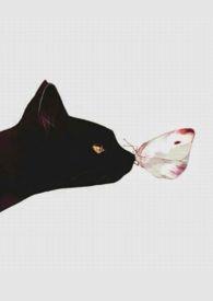 人间好时节歌曲