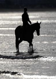 劫婚是什么意思